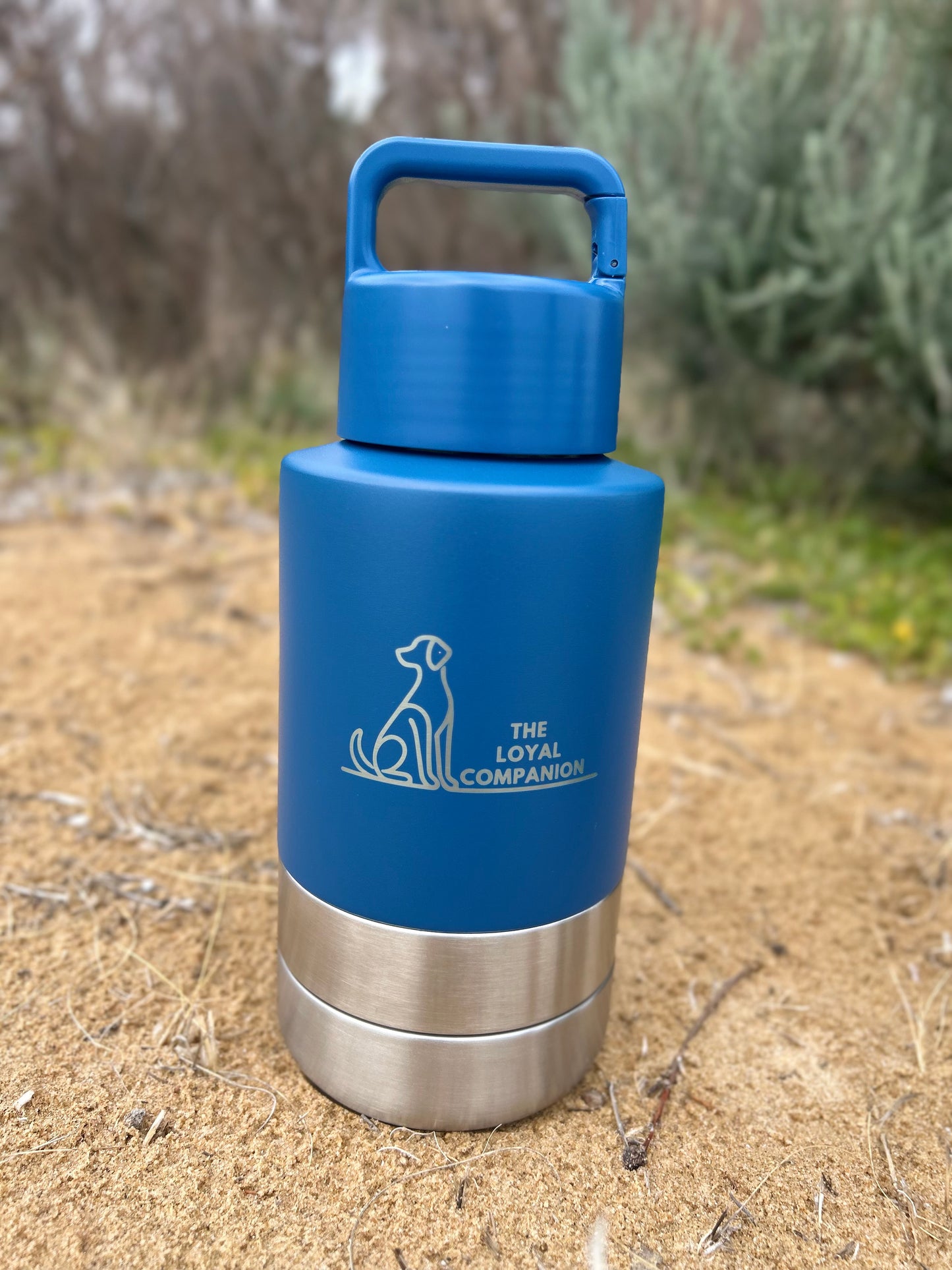 3-in-1 Water Bottle | Water, Food & Bowl in One